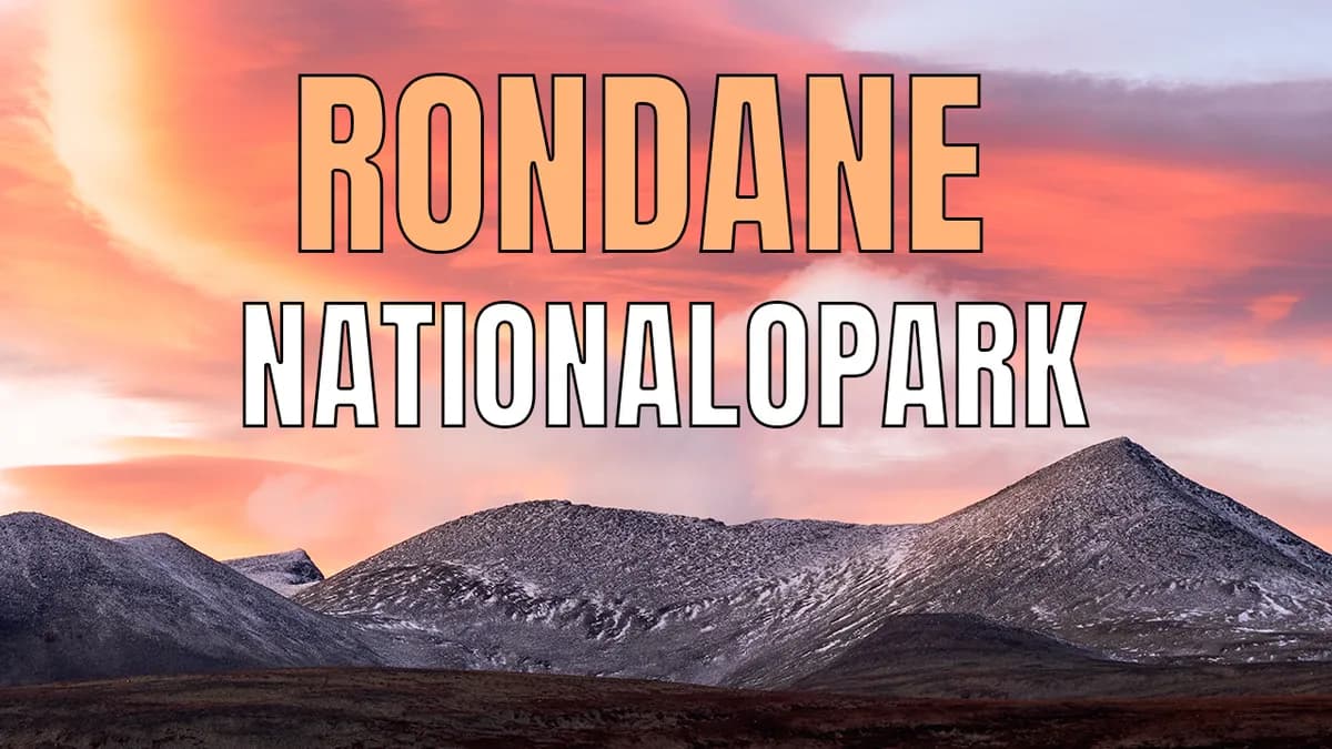 Videorapport från Rondane nationalpark 2021.