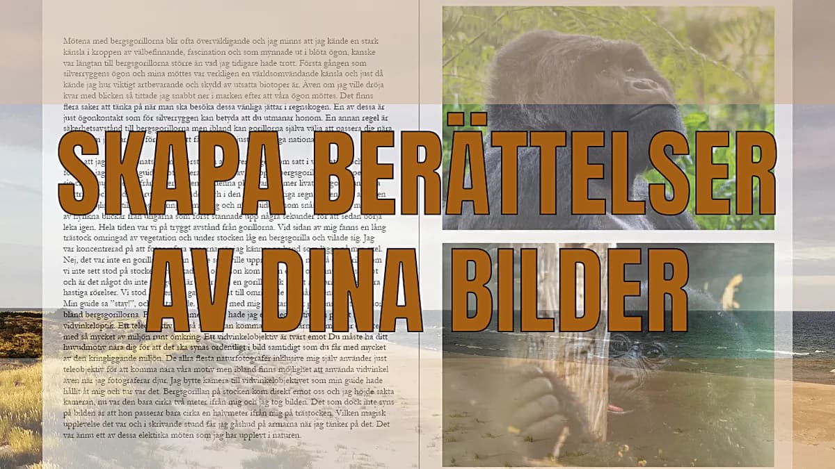 Skapa berättelser av dina bilder.