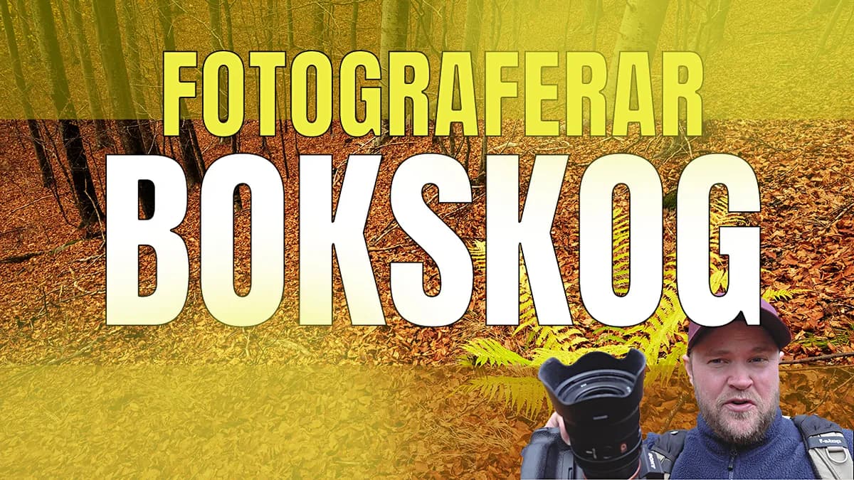 Fotograferar vackra bokskogar på Omberg.