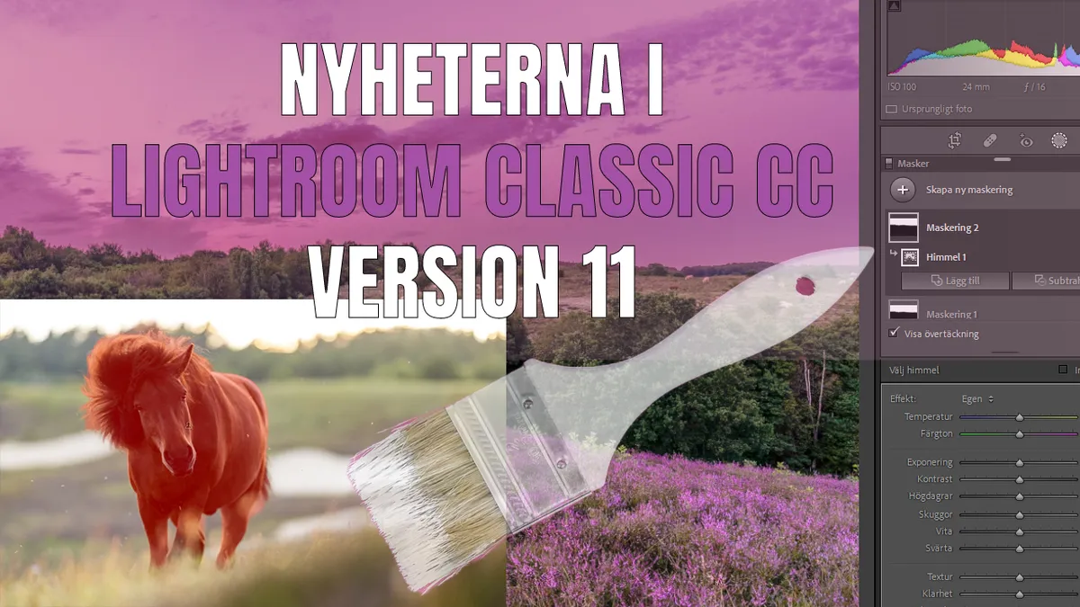 Fantastiska nyheter i Lightroom Classic CC (version 11)! AI Maskning!