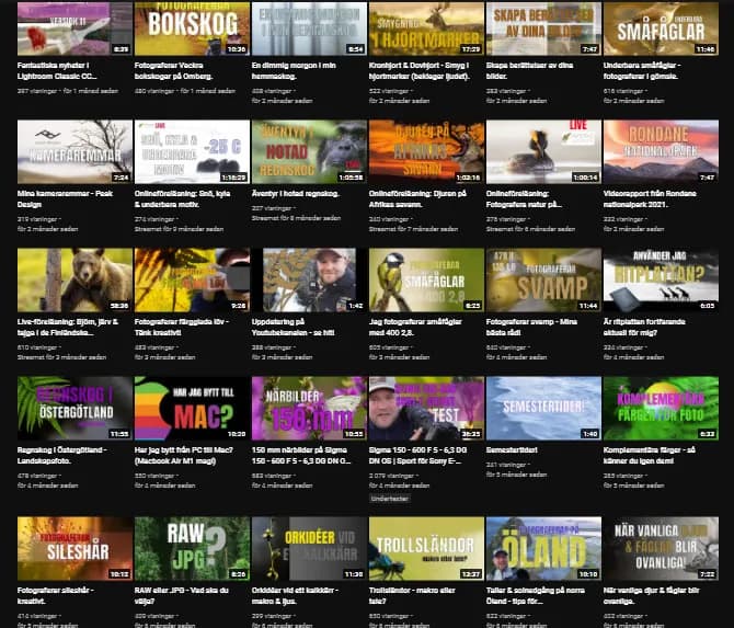 Youtubekanalen 2022 – vad kommer att hända?