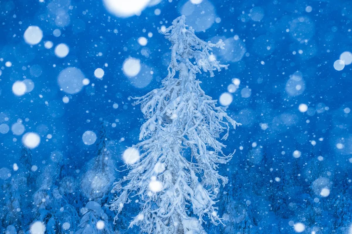 Snöskor för nybörjare, så enkelt kommer du igång