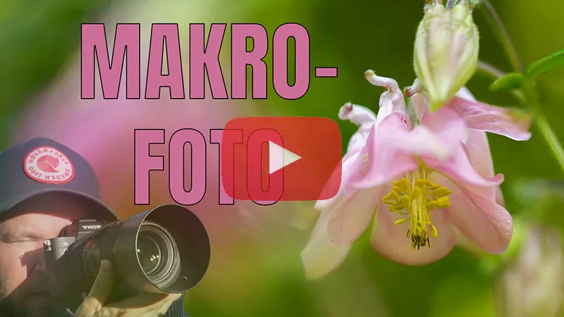 Makrofotografering – Mina tips & råd.
