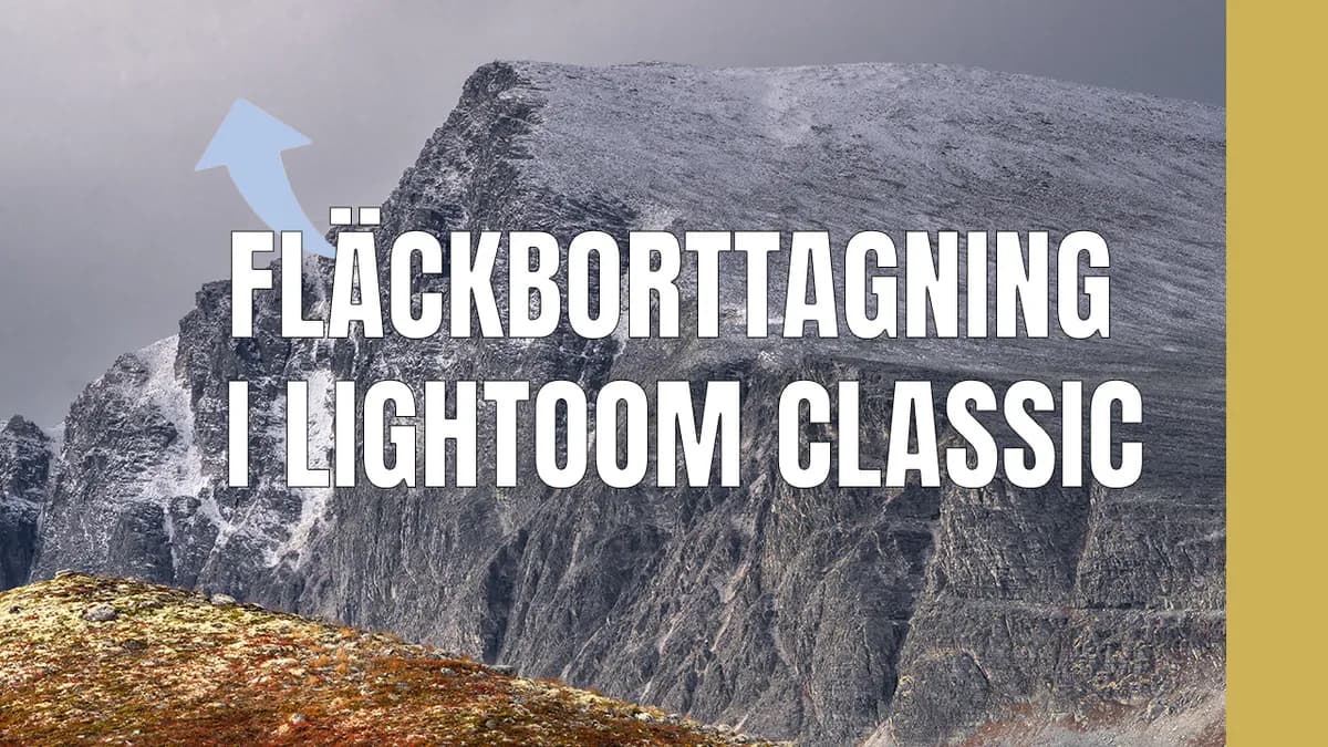 Fläckborttagning i Lightroom Classic – Visa fläckar