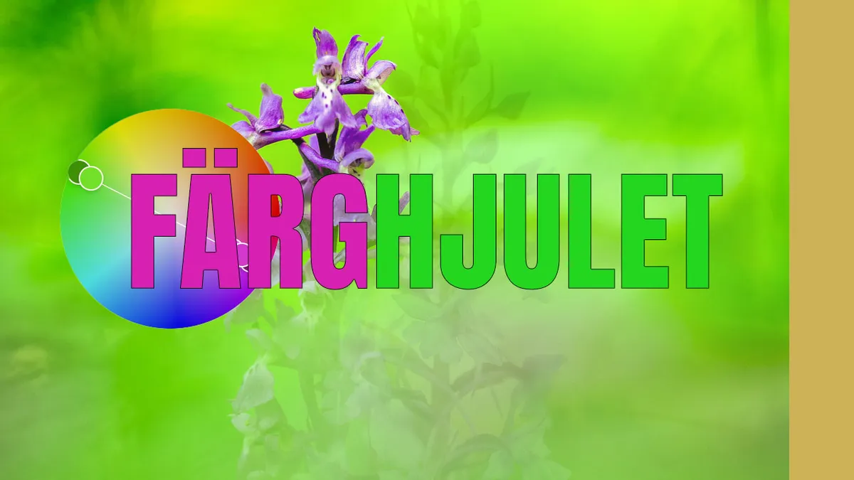 Färgval till dina naturbilder.