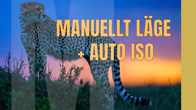 Manuellt läge med auto ISO – det kan vara exponeringsläget för dig.
