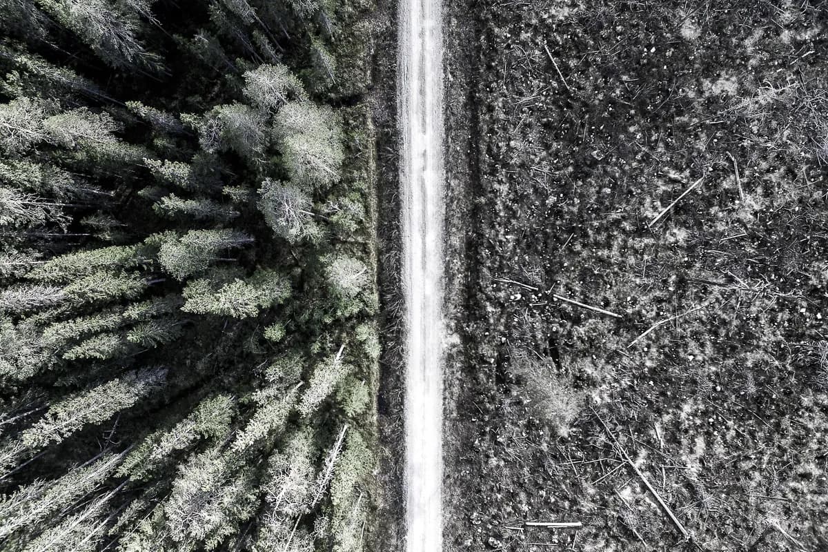 Naturfotografins framtid – Från bilder till berättelser.
