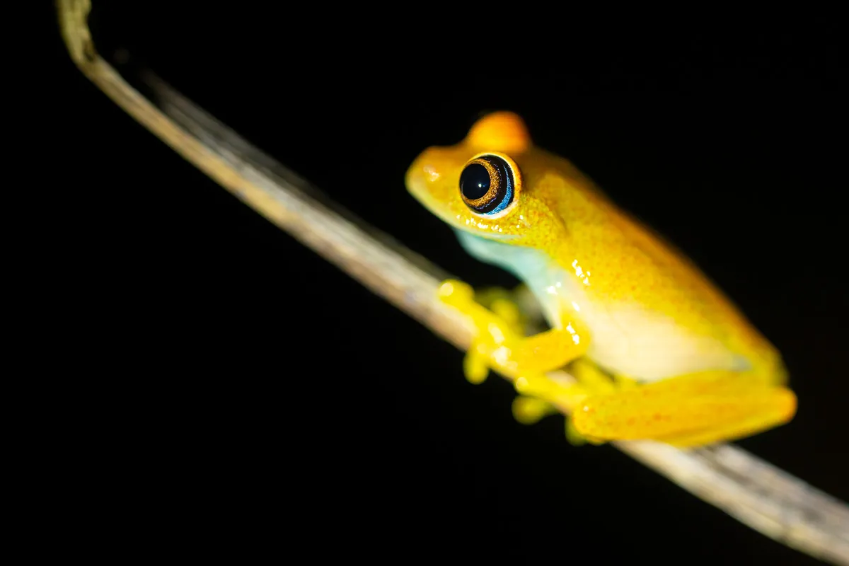 Upptäck fördelarna med att välja Fröstad Naturfoto för din nästa fotoresa!