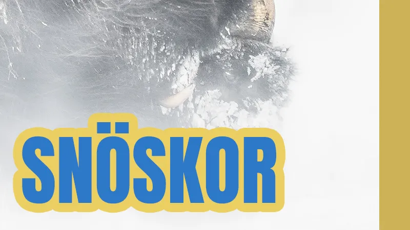 Snöskor & Dovrefjell