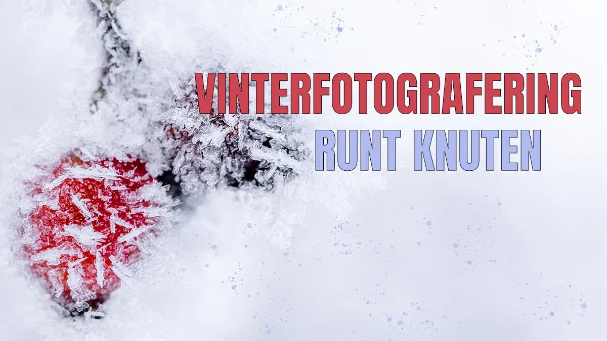 Vinterfotografering runt knuten – Vinternypon