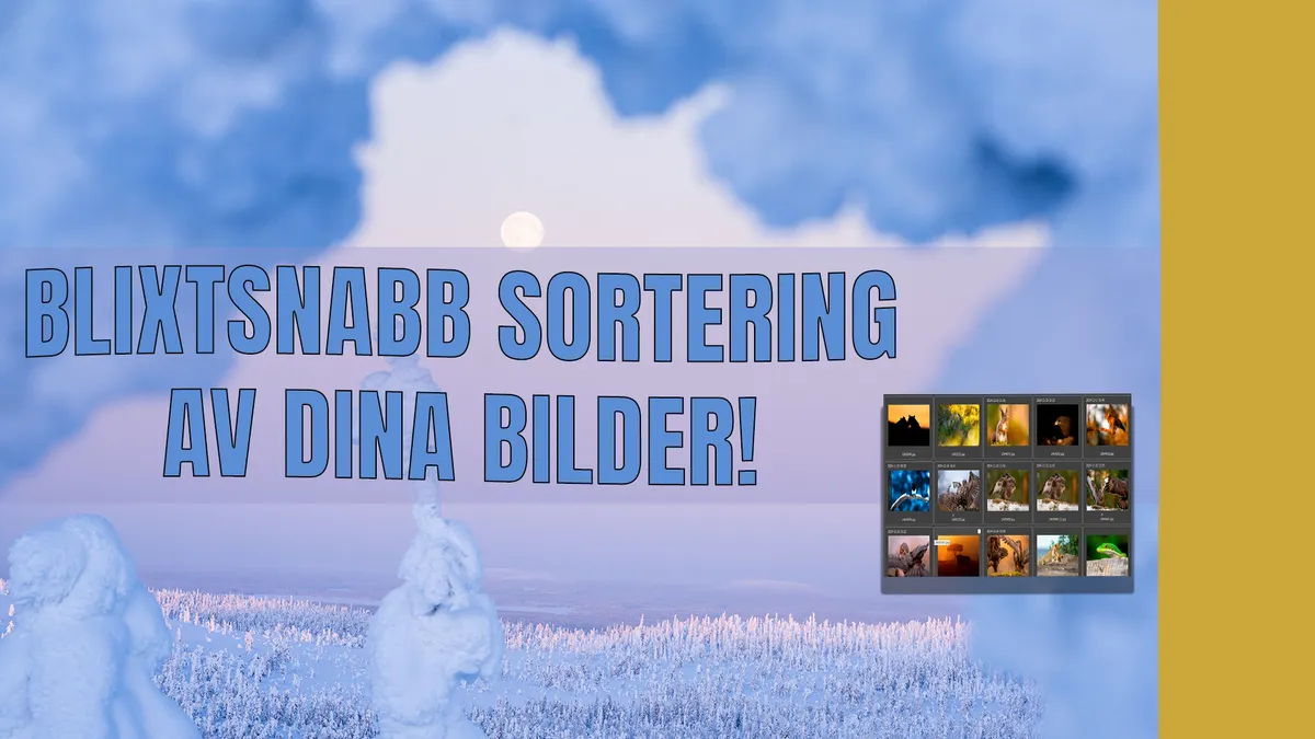 Blixtsnabb bildsortering – mina bästa knep!