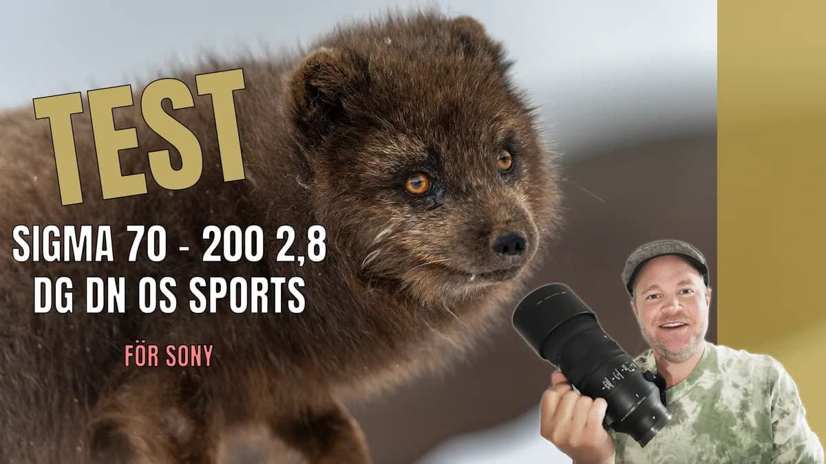 Test: Sigma 70–200mm DG DN OS Sports för naturfoto