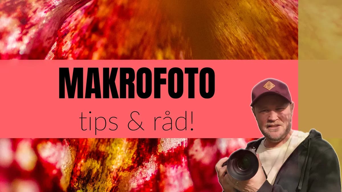 Så tar jag makrobilder – Tips & råd för vårblommor