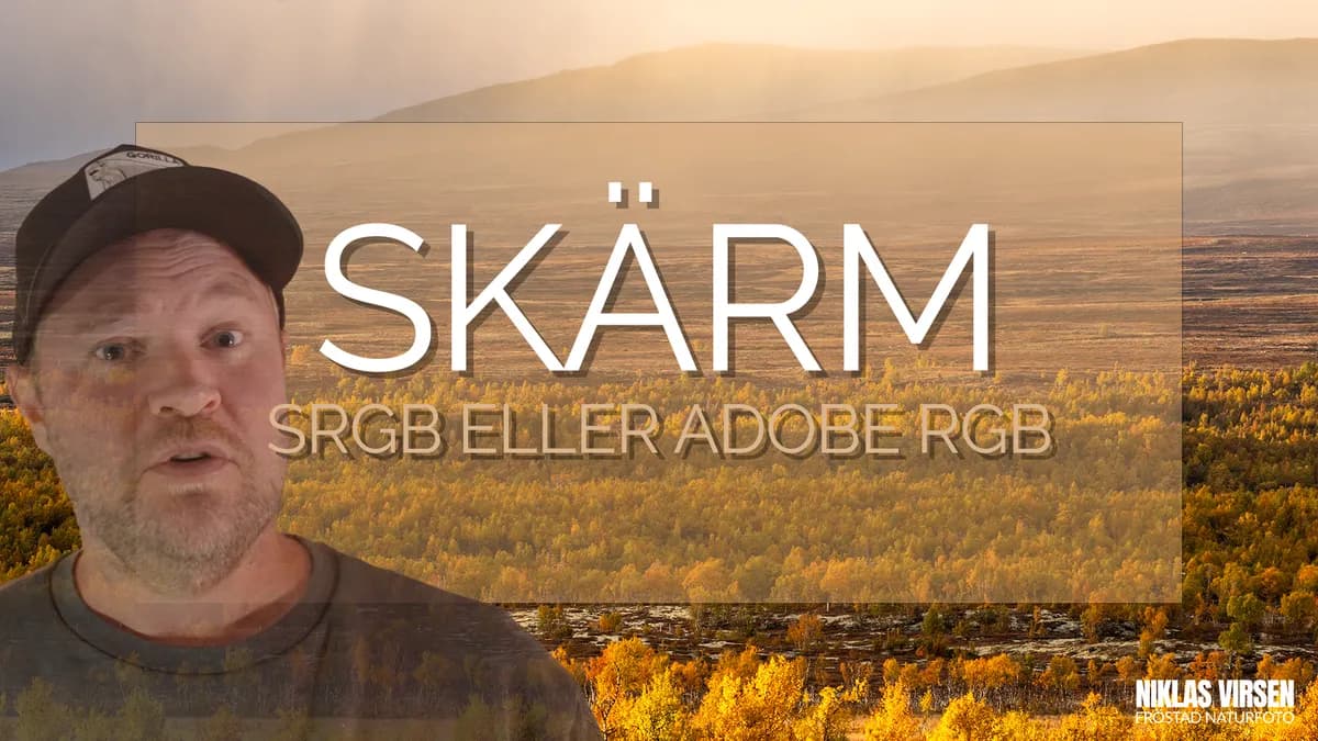 Välj rätt skärm för naturfoto, sRGB eller Adobe RGB?