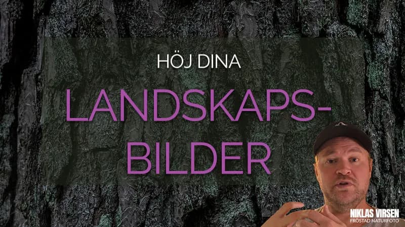 Intima landskap med tele, fokus stacking steg för steg