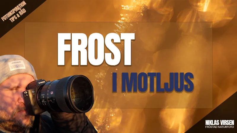 Frost & motljus, en perfekt kombination!