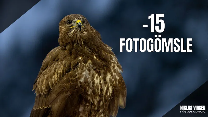 Minus 15 och magiskt ljus, följ med till mitt fotogömsle!