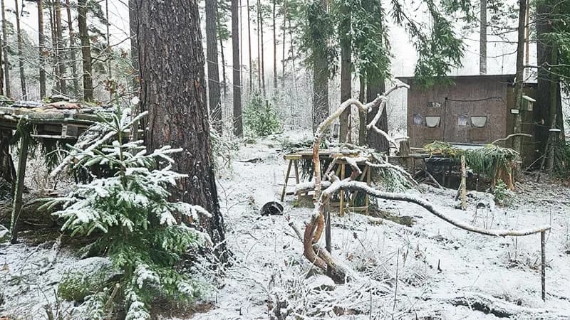 Fotogömsle i Fröstadskogen