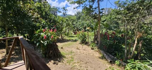 Culpana Eco Lodge i Madidi, trädgård och regnskog