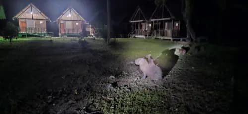 Mosseuma Lodge i Pampas del Yacuma på kvällen