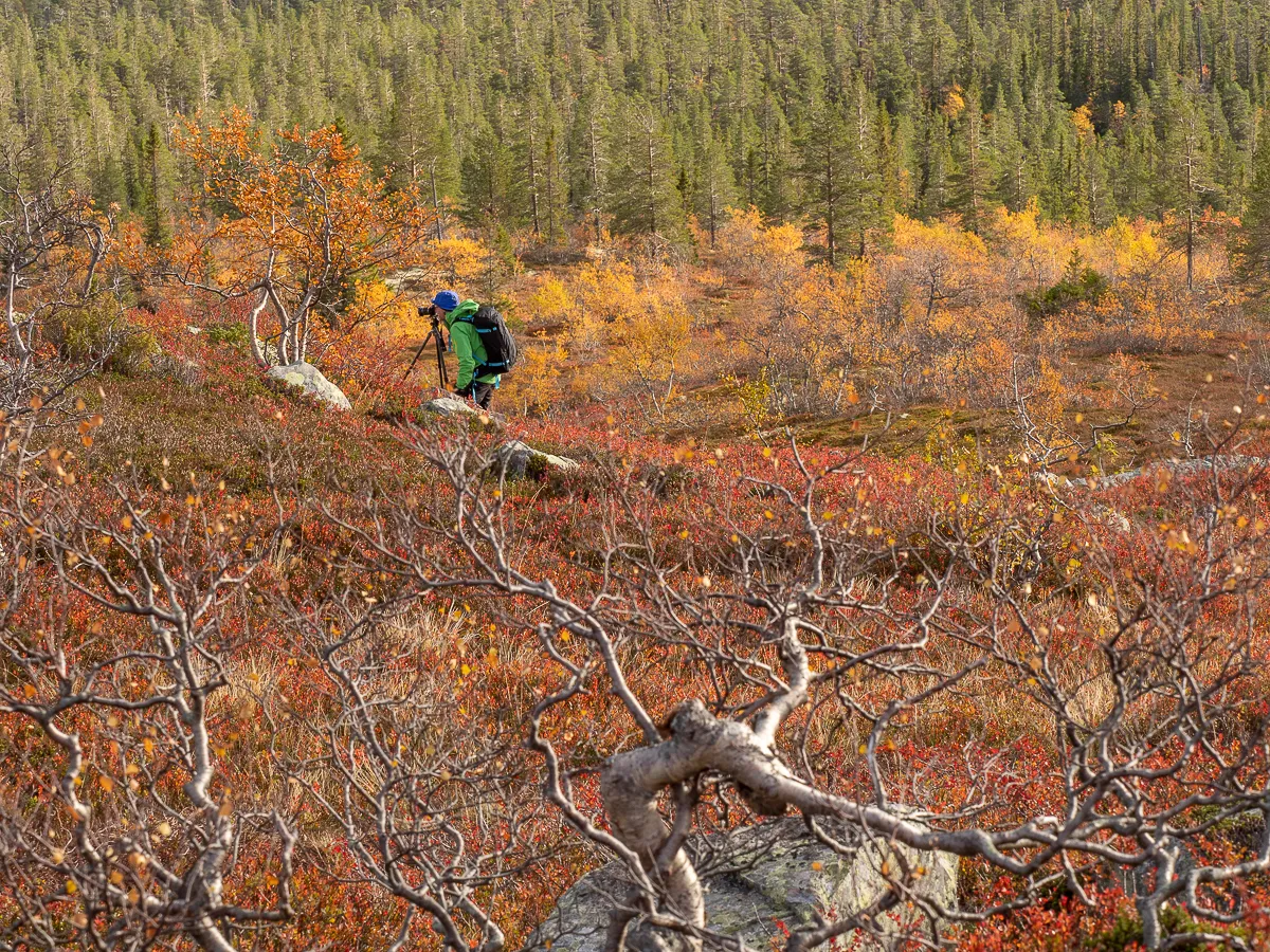 Fredrik Neregård i Fulufjället 2018 (foto: Niklas Virsen).