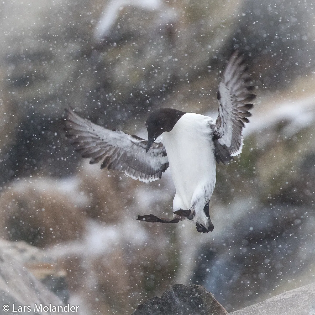 Varanger 2019 Lars Molander