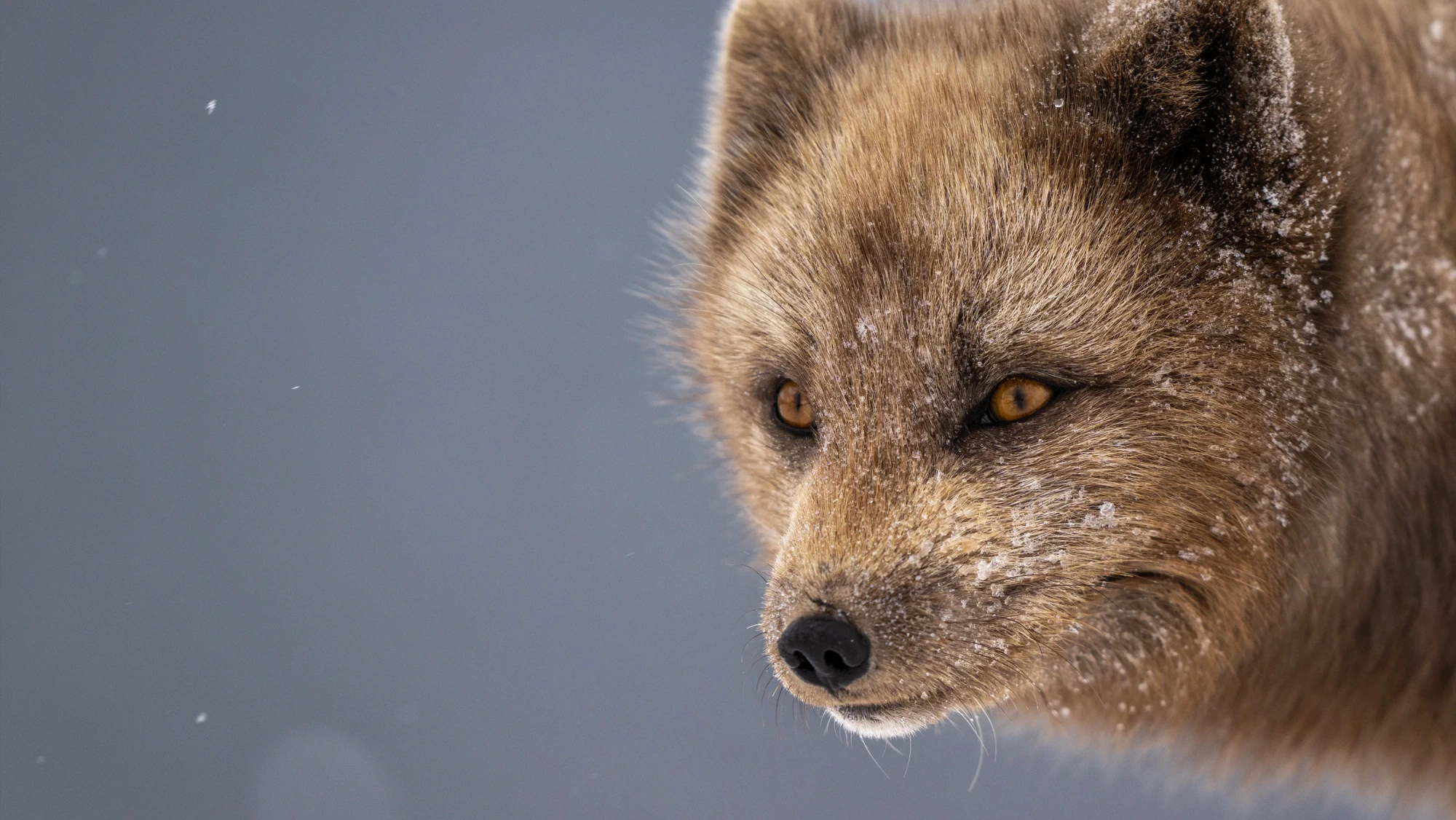 Startsidans hero-bild för Fröstad Naturfoto