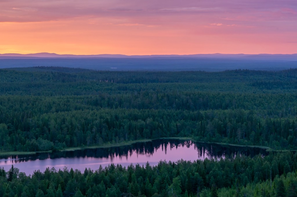 Panoramavy över en liten skogssjö i kvällsljus med spegling av lila och orange himmel bland tallskog